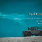 Feel Flows